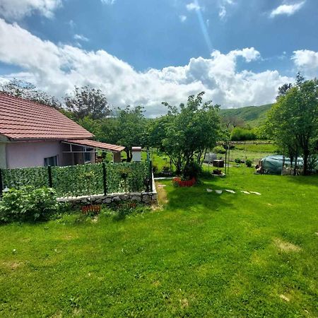 Village Flower Ivy Montenegro Nikšić Kültér fotó